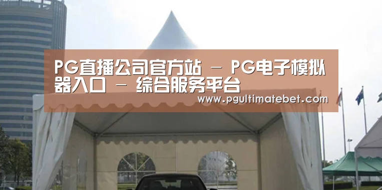 案例标题八