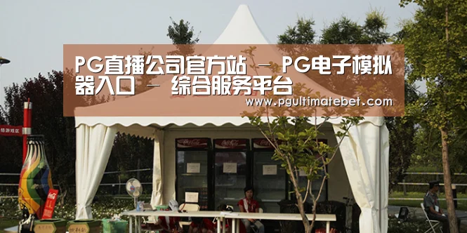 案例标题五