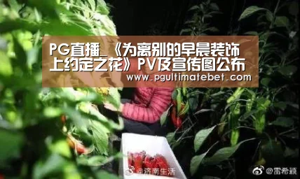 PG公司