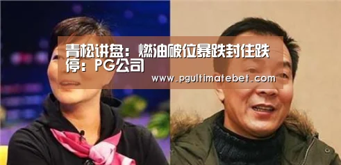 青松讲盘:燃油破位暴跌封住跌停:PG公司(图1) PG服务