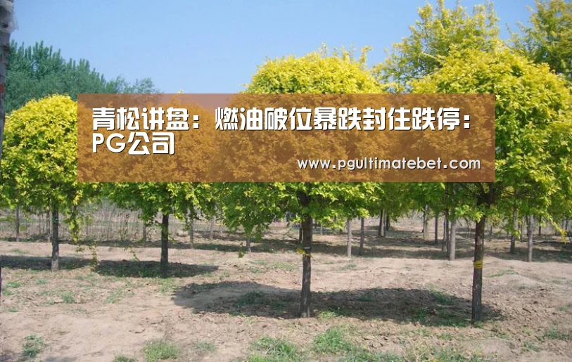 青松讲盘:燃油破位暴跌封住跌停:PG公司(图2) PG直播