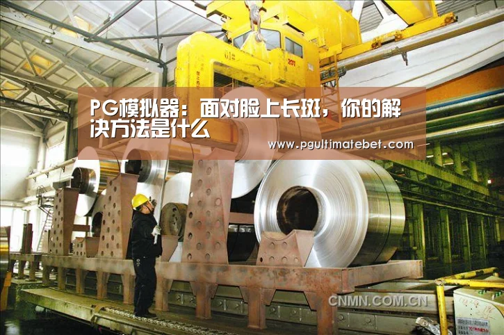 PG模拟器:面对脸上长斑,你的解决方法是什么(图2) PG服务