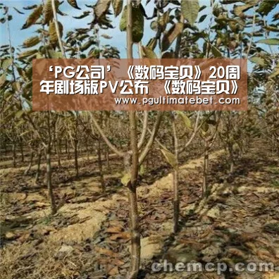 ‘PG公司’《数码宝贝》20周年剧场版PV公布 《数码宝贝》20周年声优名单(图1) PG服务
