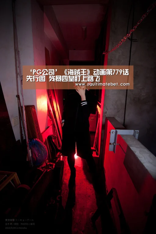 PG模拟器