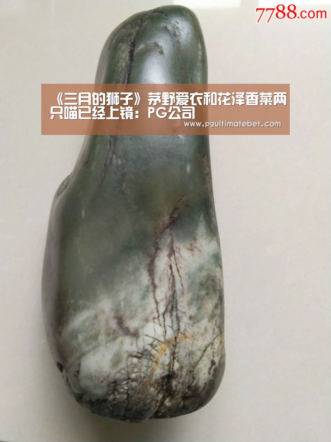 《三月的狮子》茅野爱衣和花泽香菜两只喵已经上镜:PG公司(图2) PG模拟器