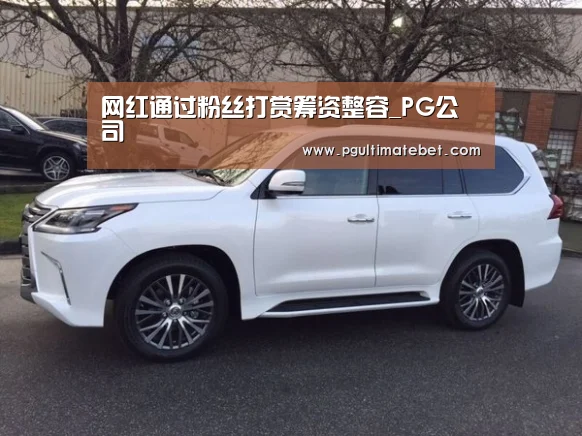 网红通过粉丝打赏筹资整容_PG公司(图1) PG公司