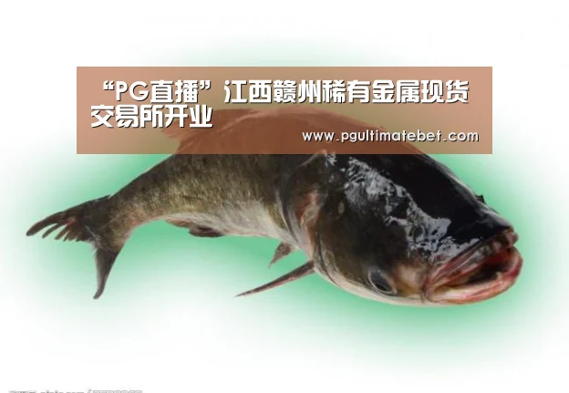 “PG直播”江西赣州稀有金属现货交易所开业(图2) PG直播